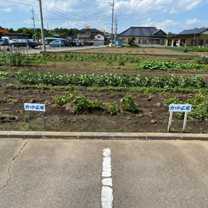 カット広場の駐車場